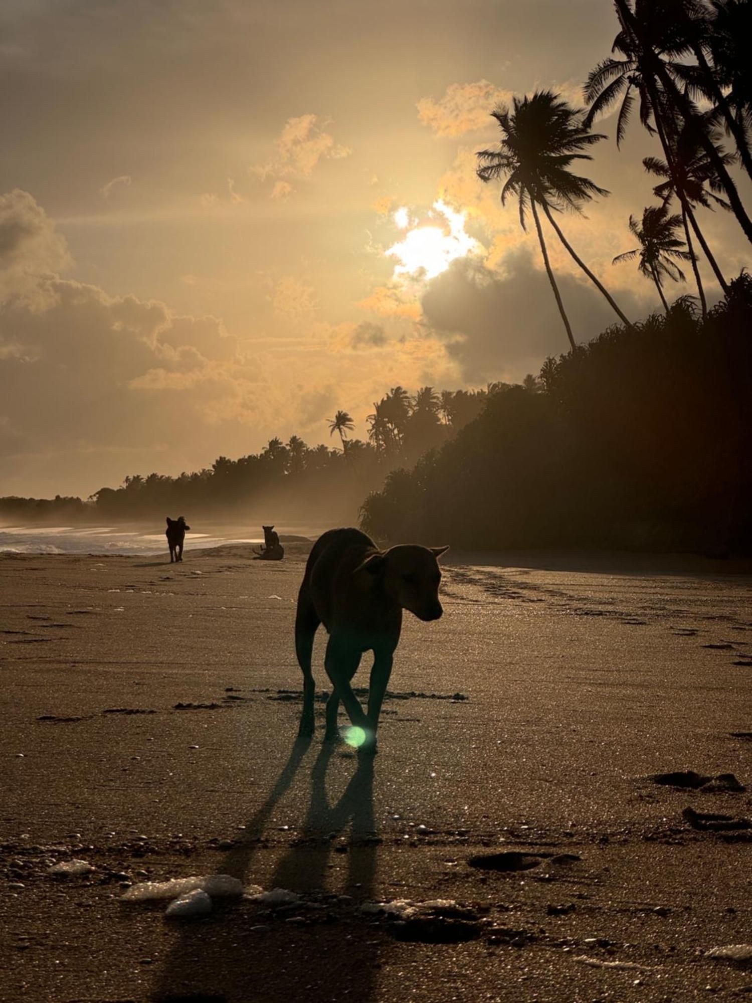 Maritime Nest Cabanas Tangalle Luaran gambar